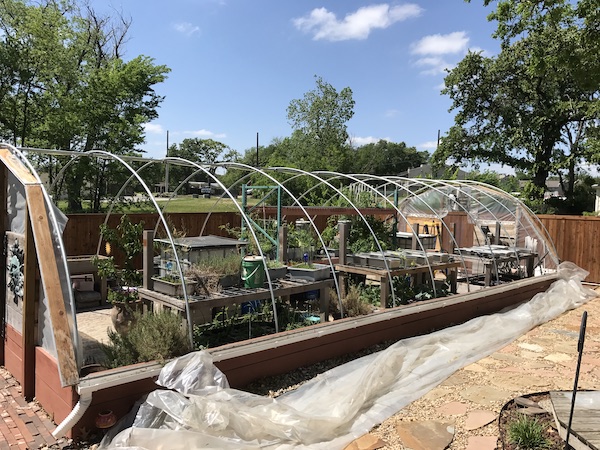 Custom built 40 by 20 foot greenhouse